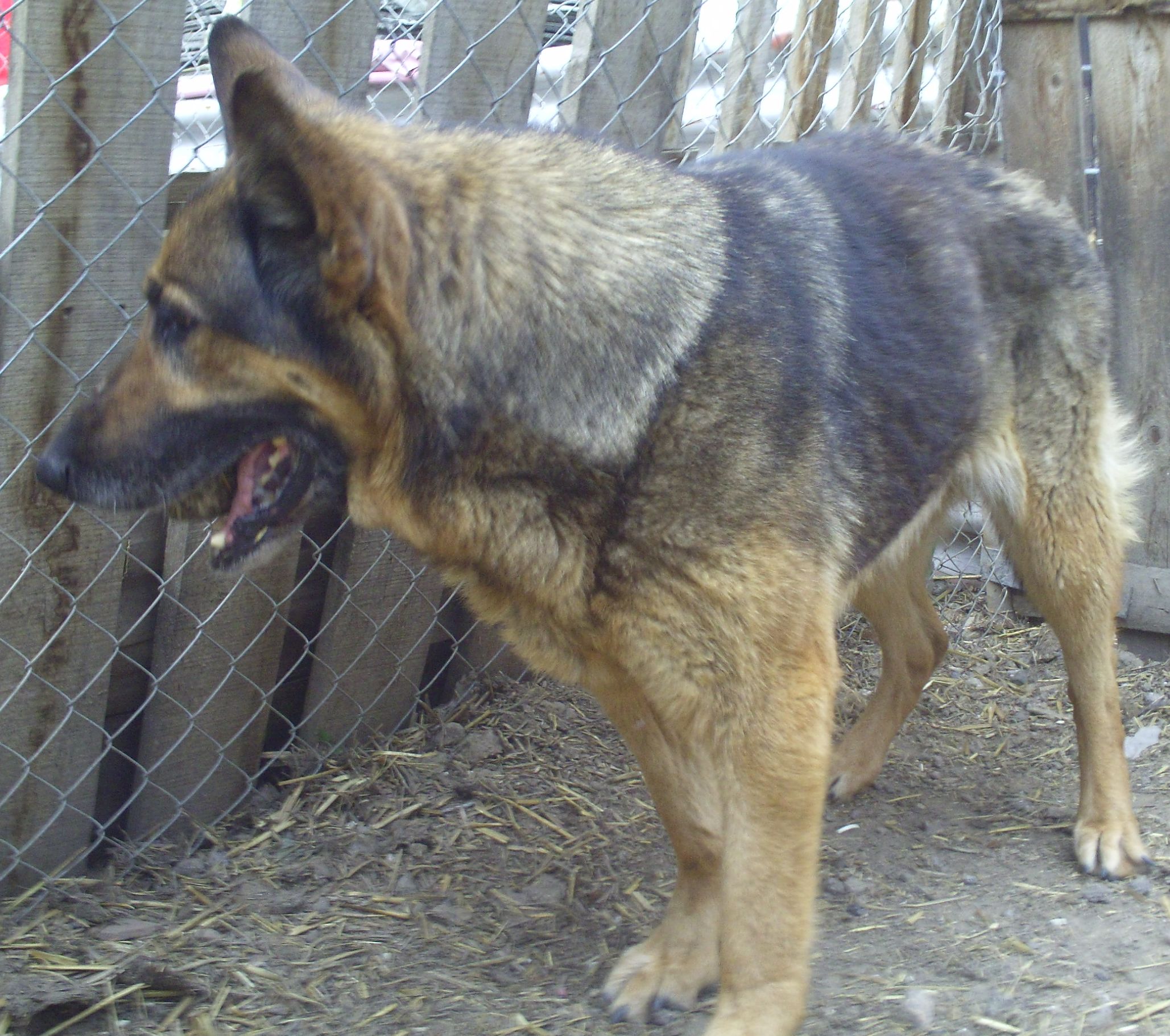 19_Tereza_11let_3.jpg